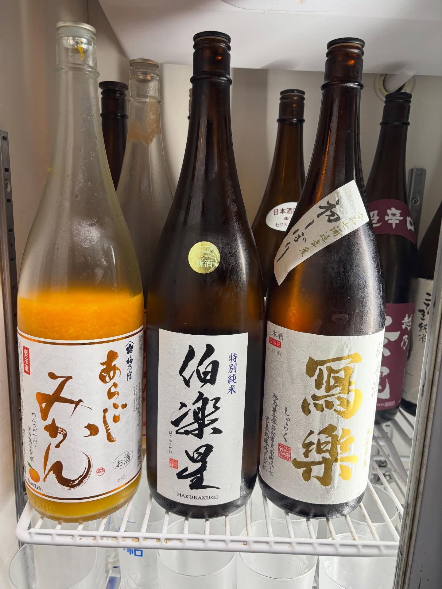 画像15526